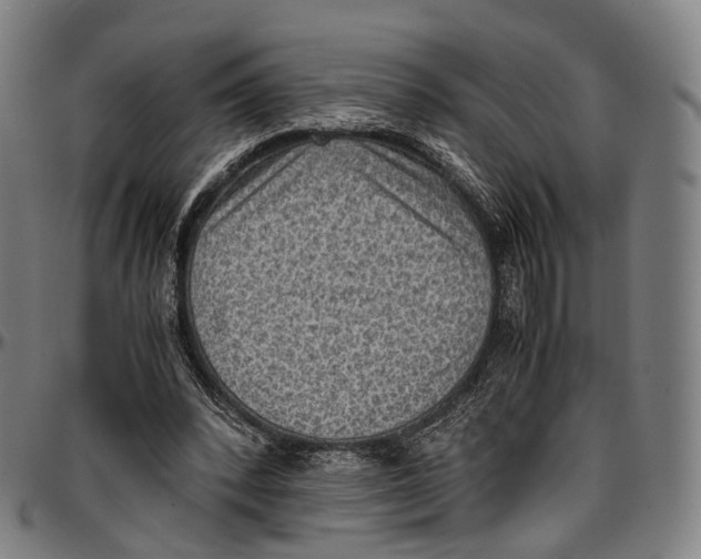 X0000096960392200802291126