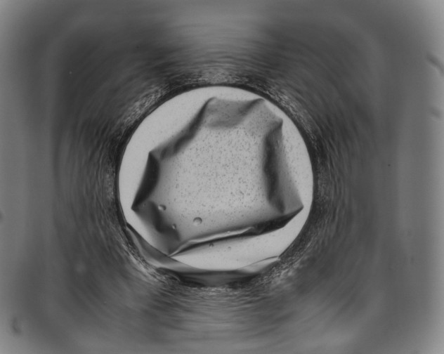 X0000096960393200802291126