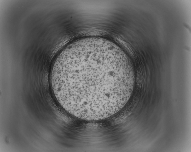 X0000096960394200802291126