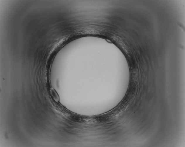 X0000096960395200802291126