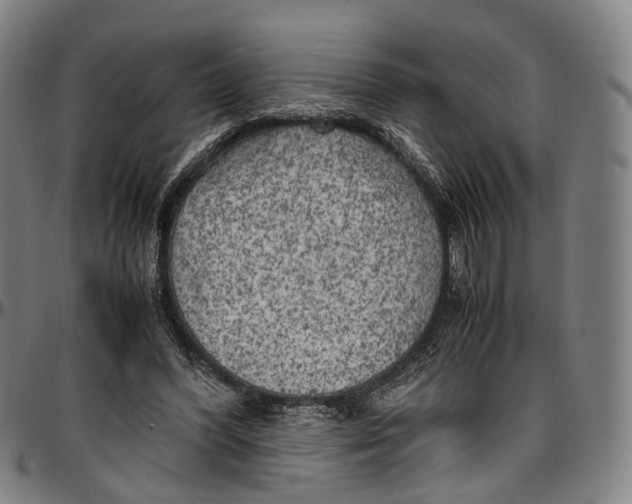 X0000096960396200802291126