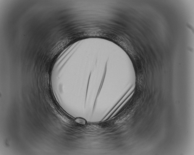 X0000096960397200802291126