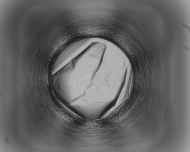 X0000096960399200802291126