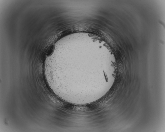 X0000096960401200802291126