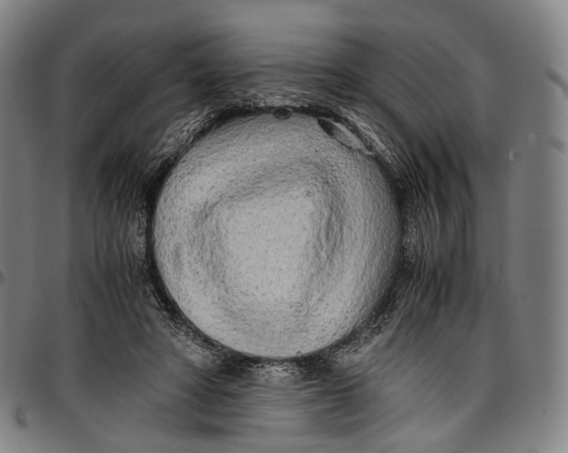 X0000096960402200802291126