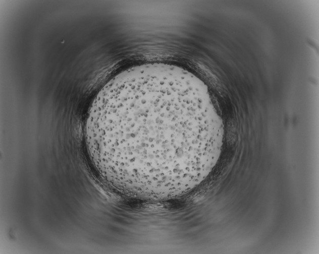 X0000096960405200802291126