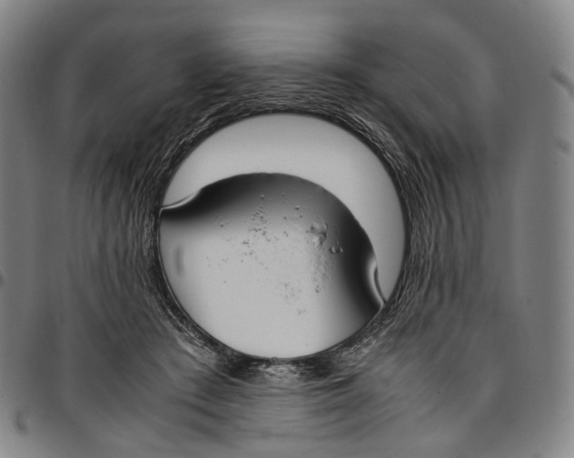 X0000096960409200802291126