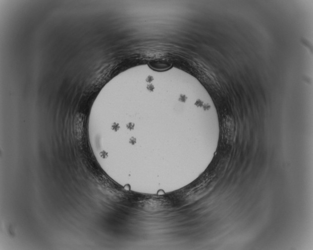 X0000096960412200802291126