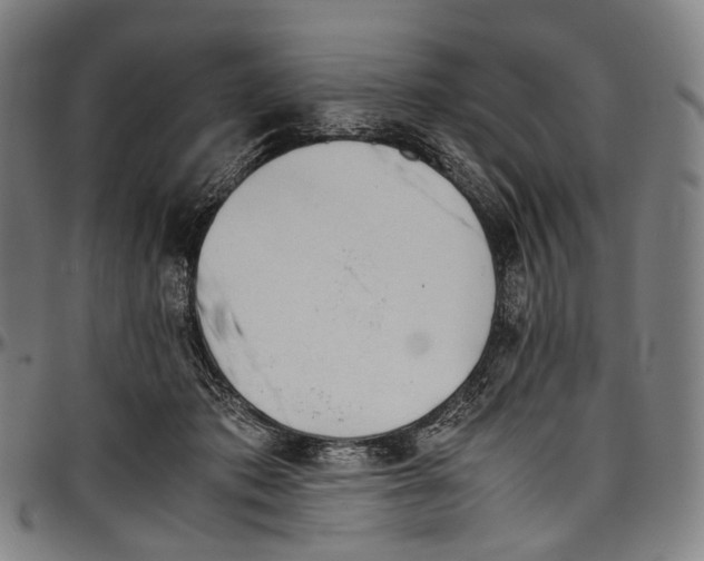 X0000096960413200802291126