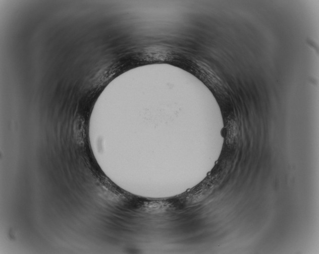 X0000096960414200802291126