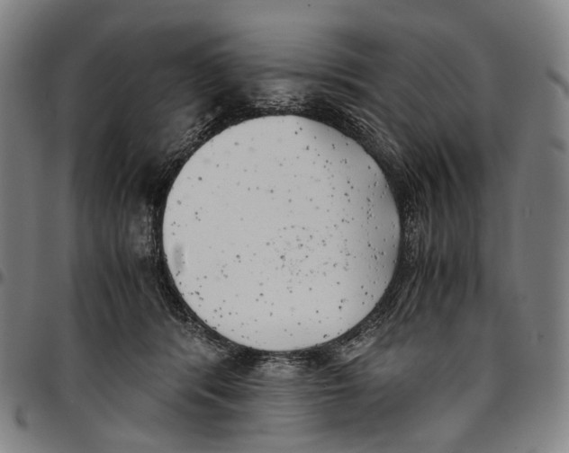 X0000096960416200802291126