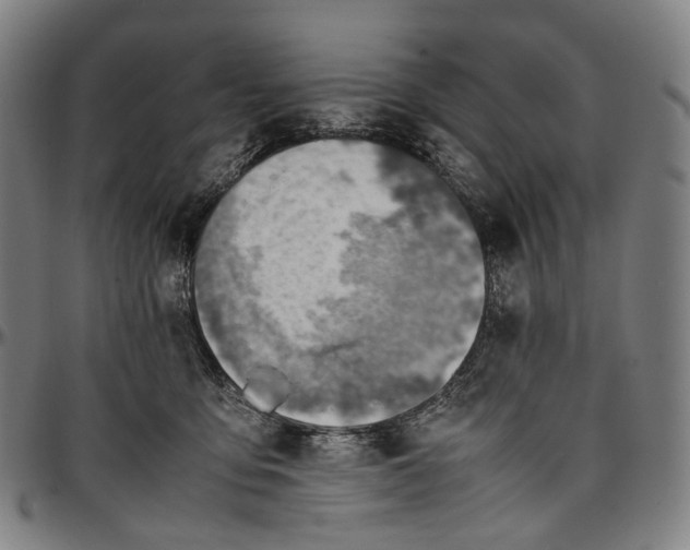 X0000096960419200802291126