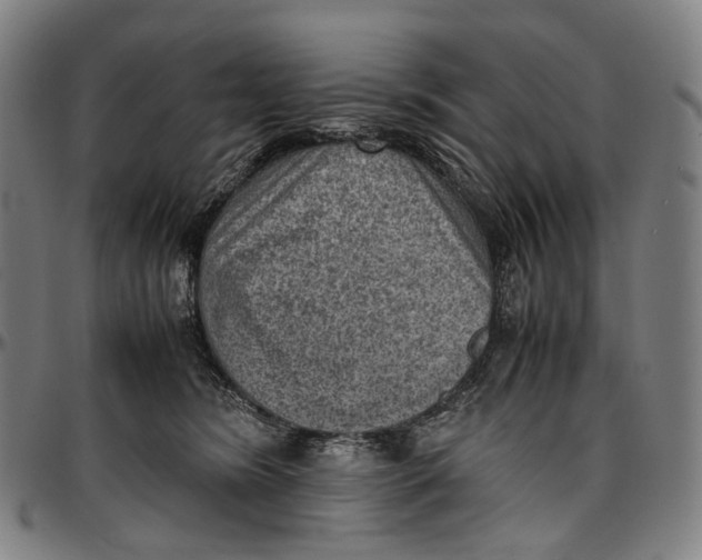 X0000096960420200802291126