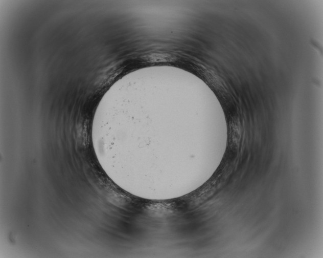 X0000096960422200802291126