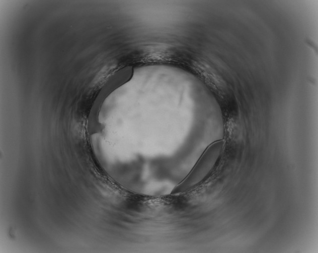 X0000096960423200802291126