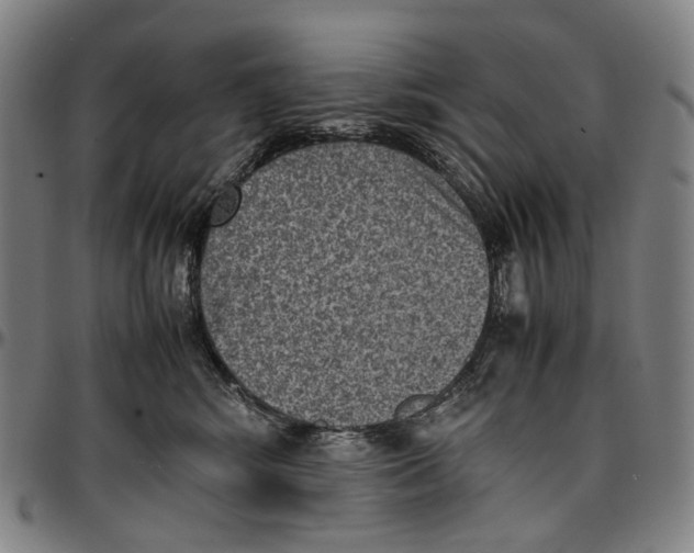 X0000096960424200802291126