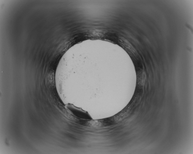 X0000096960425200802291125