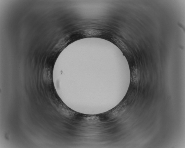 X0000096960426200802291125