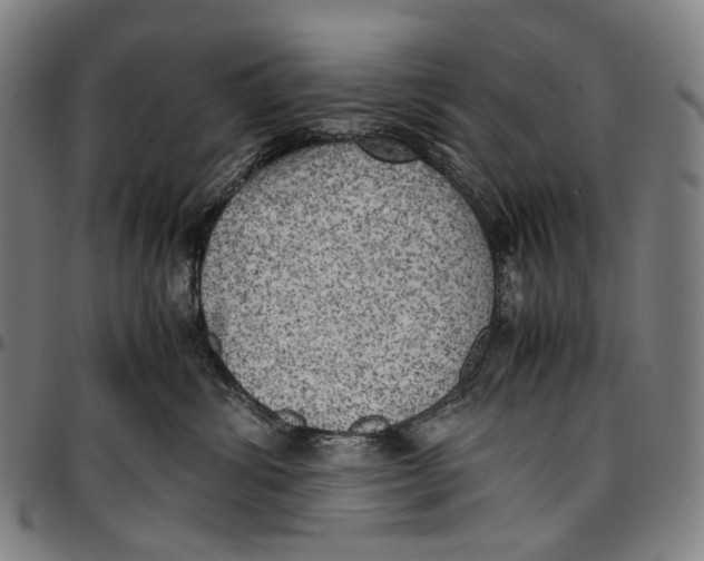 X0000096960428200802291125