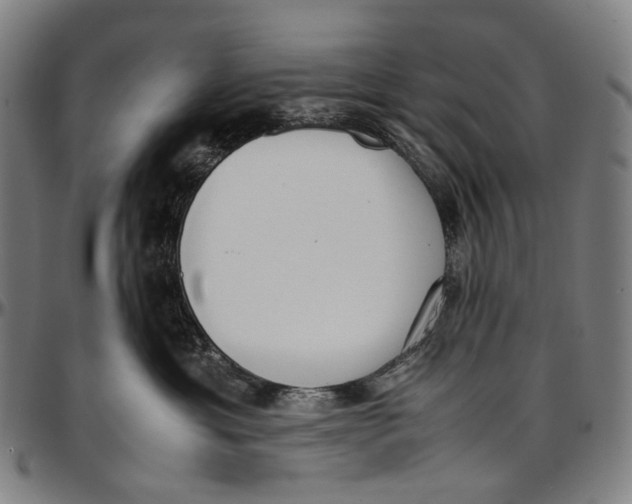 X0000096960429200802291125