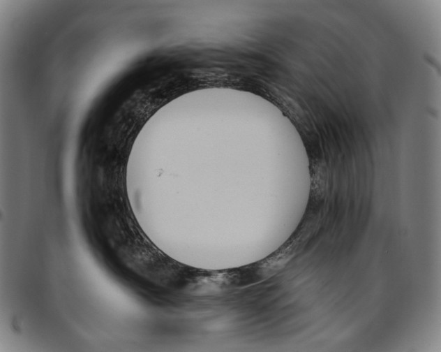 X0000096960430200802291125