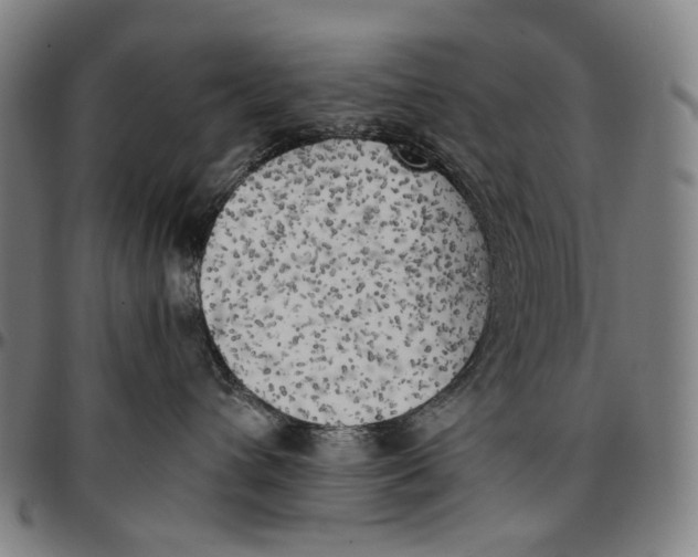 X0000096960432200802291125