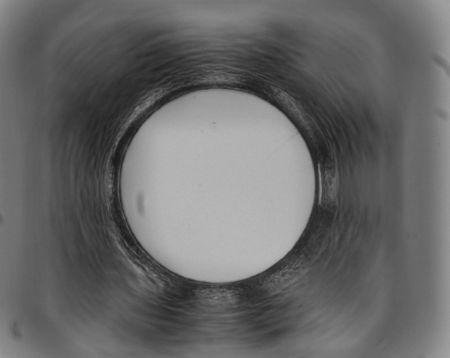 X0000096960435200802291125