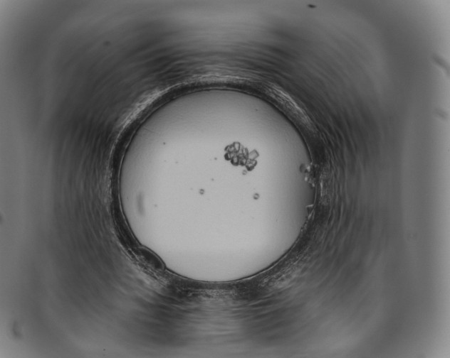 X0000096960436200802291125