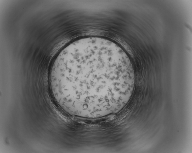 X0000096960437200802291125