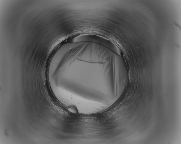 X0000096960438200802291125