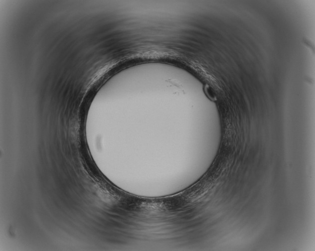 X0000096960440200802291125