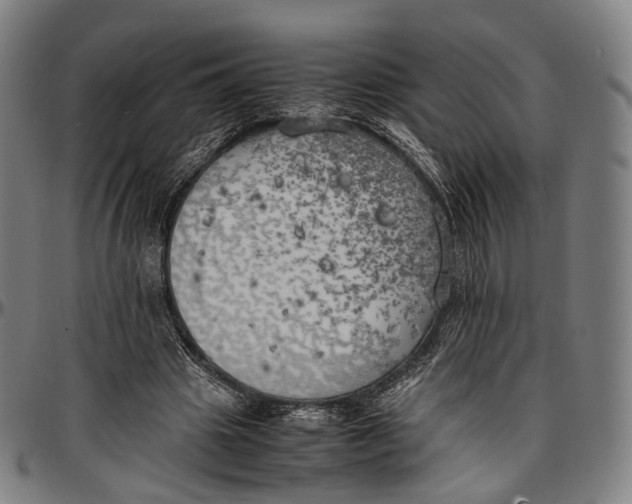 X0000096960441200802291125