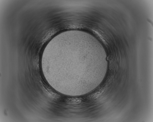 X0000096960443200802291125