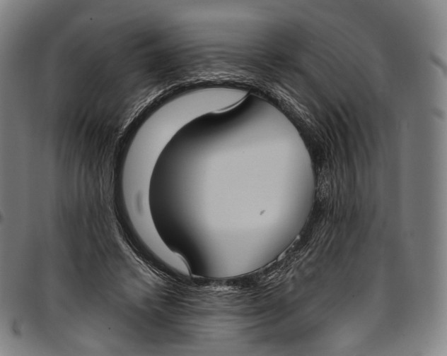 X0000096960448200802291125