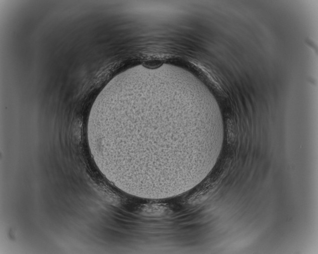 X0000096960451200802291125