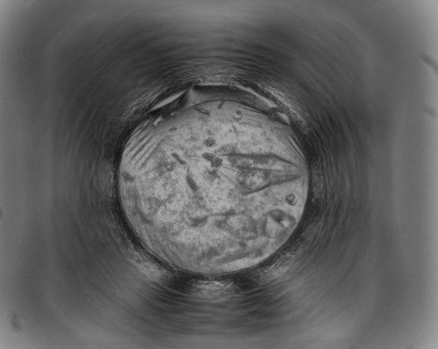 X0000096960453200802291125