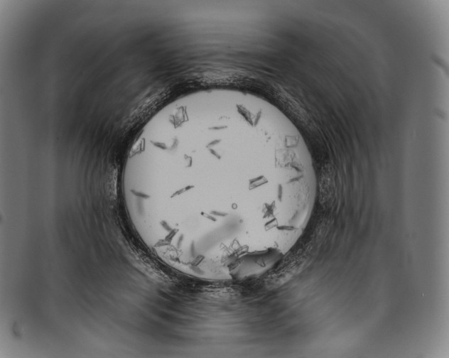 X0000096960454200802291125