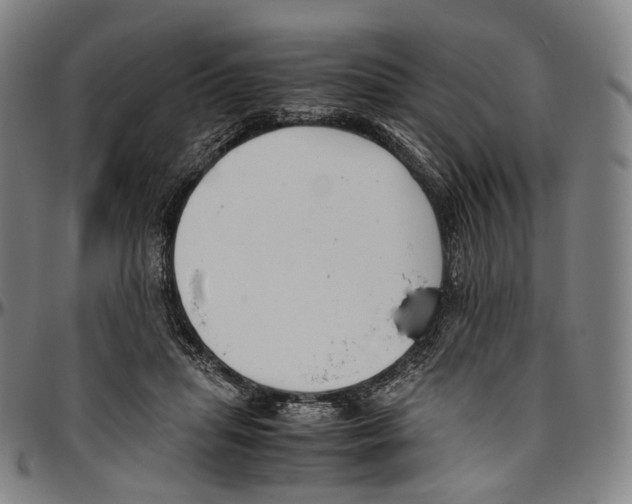 X0000096960455200802291125