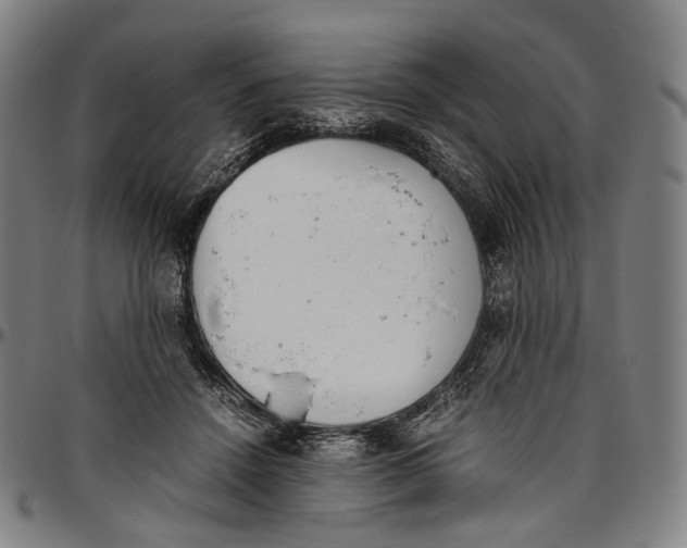 X0000096960456200802291125