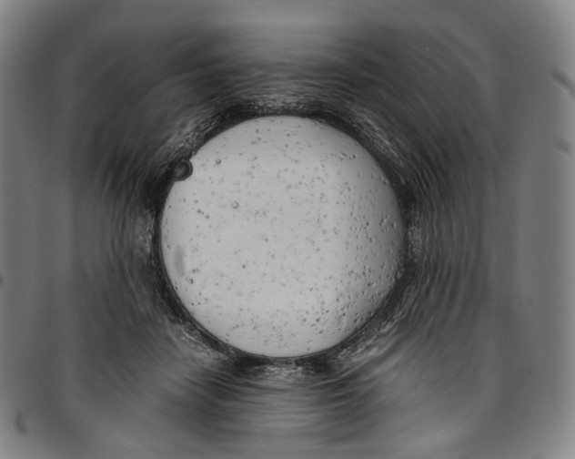 X0000096960458200802291125