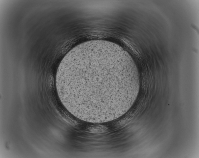 X0000096960459200802291125