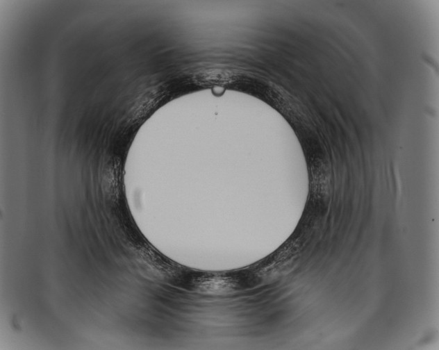 X0000096960460200802291125