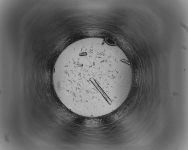 X0000096960461200802291125