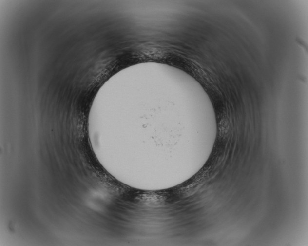 X0000096960464200802291125