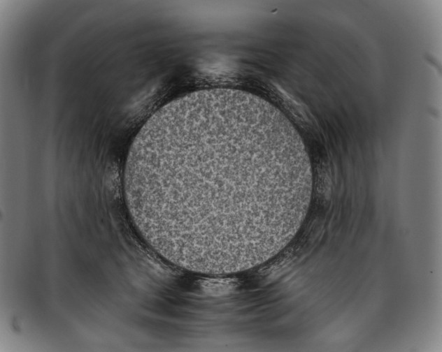 X0000096960465200802291125