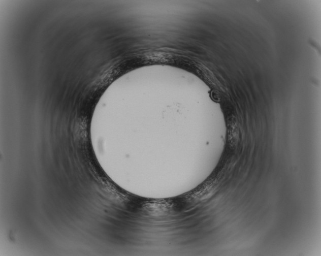 X0000096960466200802291125