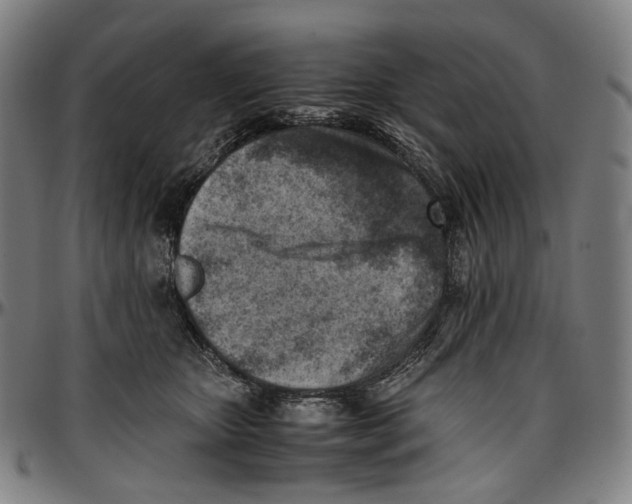 X0000096960467200802291125