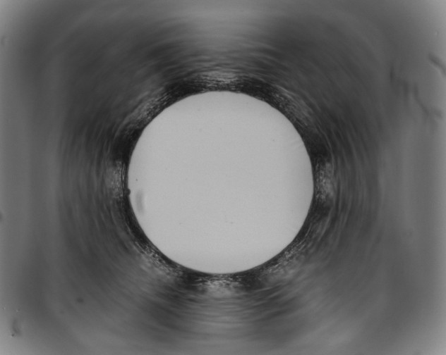 X0000096960468200802291125