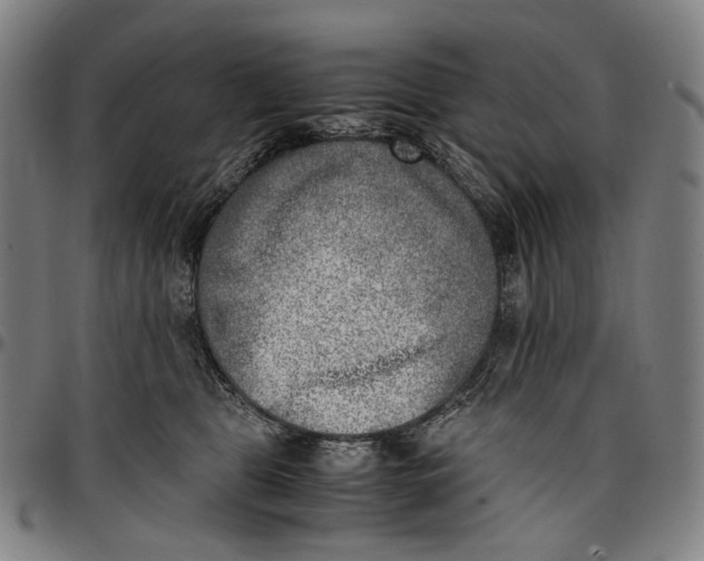 X0000096960469200802291125