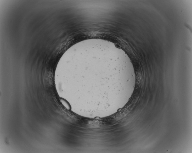 X0000096960470200802291125